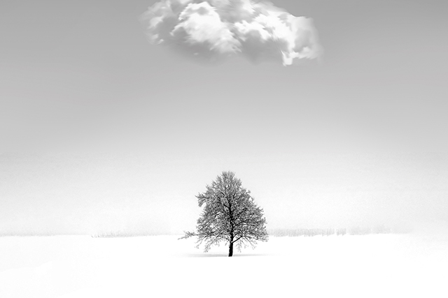 Operacion Singular Bank y UBS